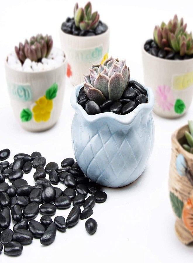 Schmick Black Pebbles Stones for Decoration, Plants Pots, Home Decor, Table Decor, and Garden Decor (1.9 Kg) - Image 2